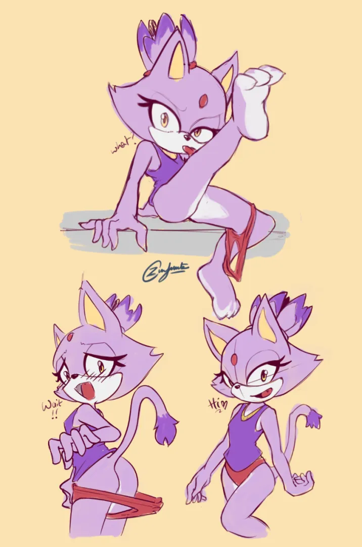 Well Blaze is a cat [ ZippyZero~ ]