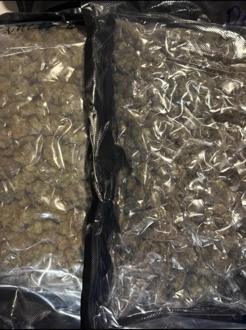 Best  ️ (DFW/Irving/Grapevine/Lewisville/Carrollton/Euless/Bedford)