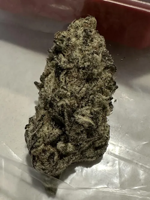 Happy Friday  n Dallas