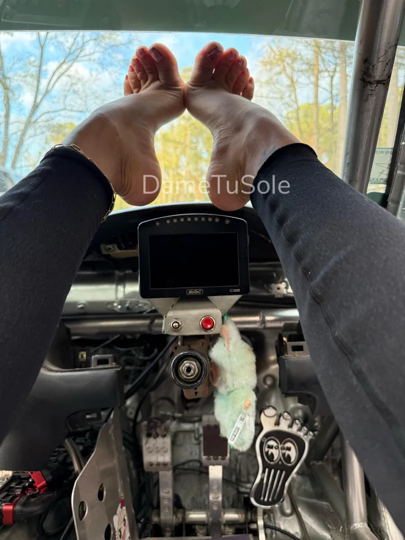 Putting them on display for the neighbors