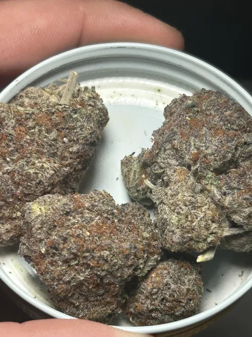 Tropicana Cherry  DFW  ⛽️ 