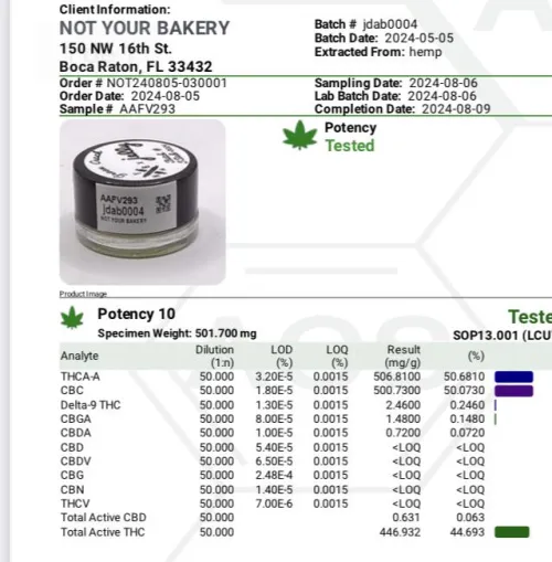 Wtf is this even supposed to be?