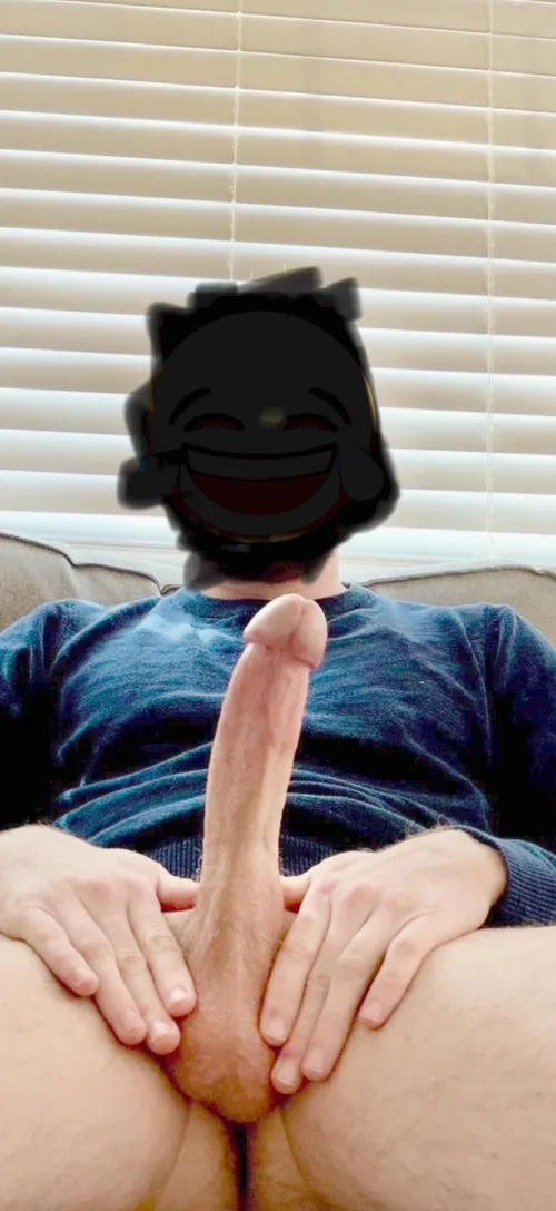 8” bull for your wife