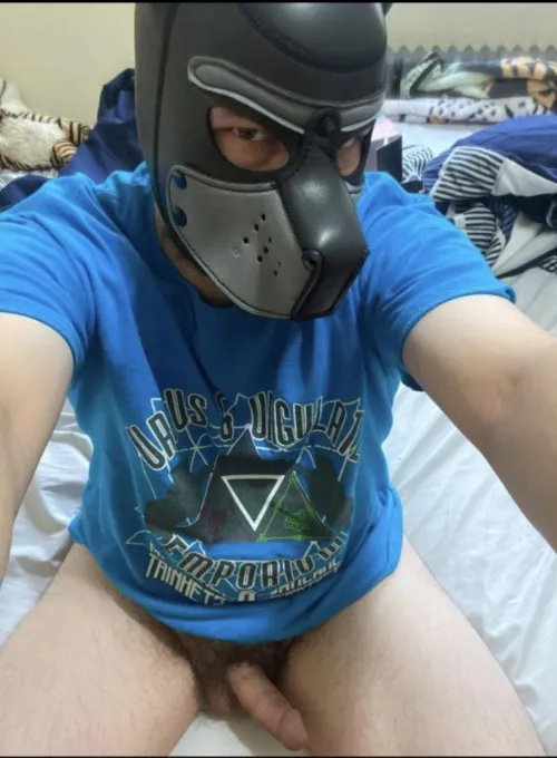 Any furries into roleplay? Love chatting with pups!