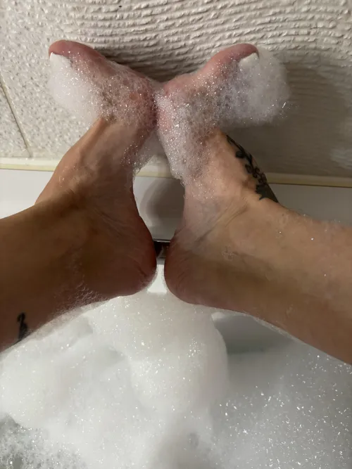 Arched to perfection 