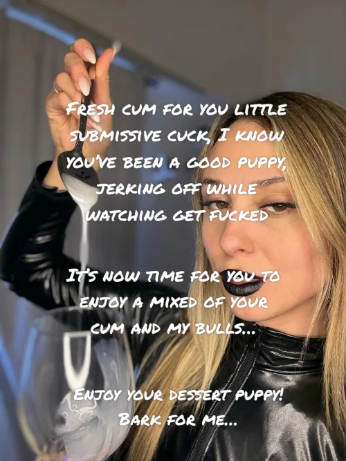 Dessert is ready! Bark for me 3 times puppy