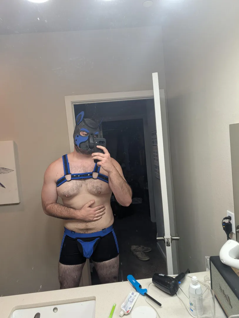 First time here! saying hi!