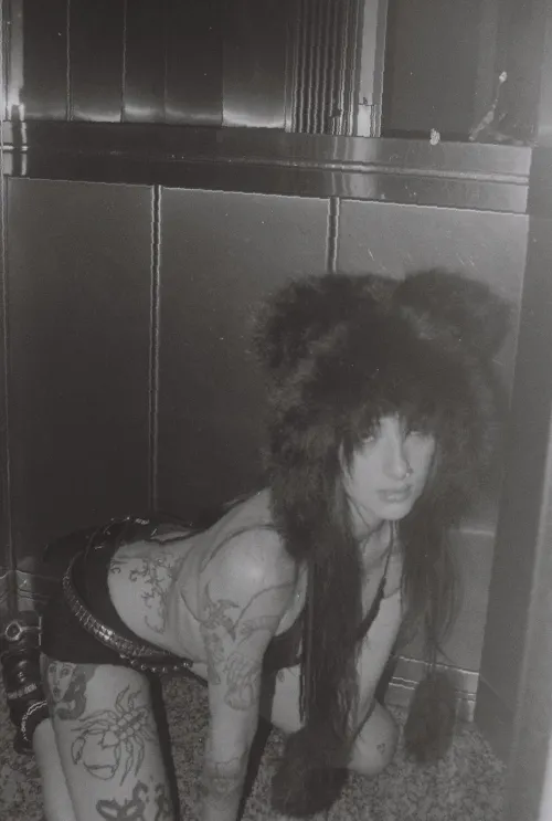 Free tonight/tmrw, can’t host unfortunately t.ele and grm: .lunaskittles'.