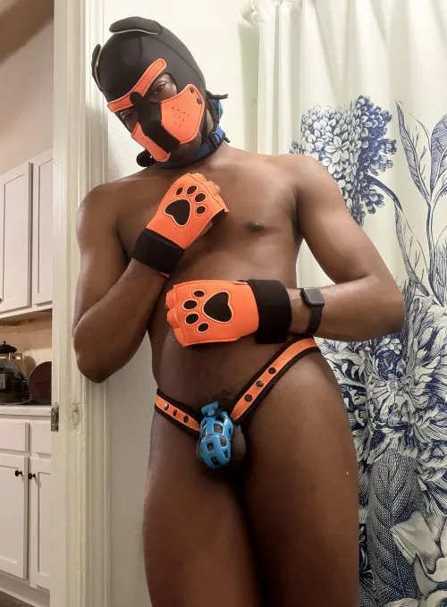 Gearing up every time my cage tightens 