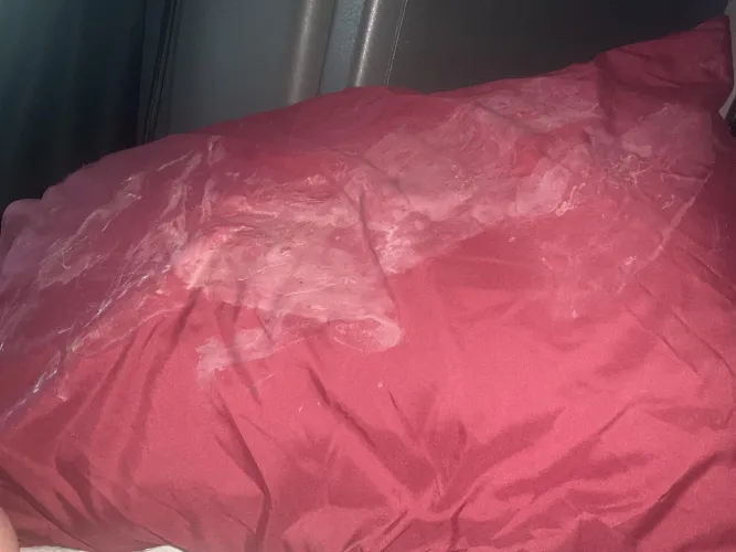 Husbands pillow in his semi truck