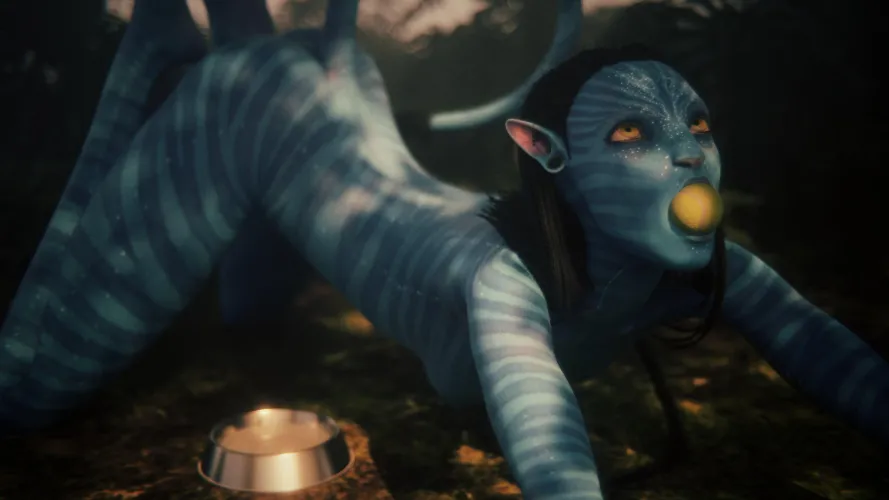 Neytiri plays fetch (gifdoozer)