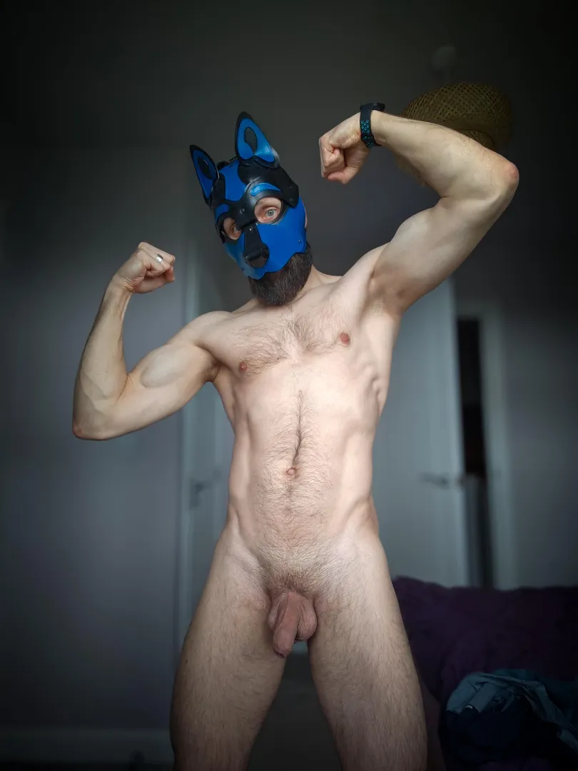 Pup flexing 
