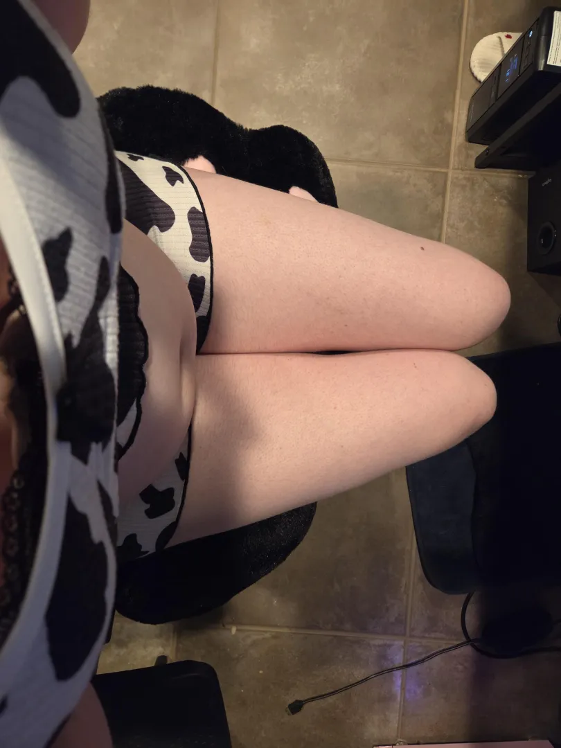 This cow is getting a lil fat