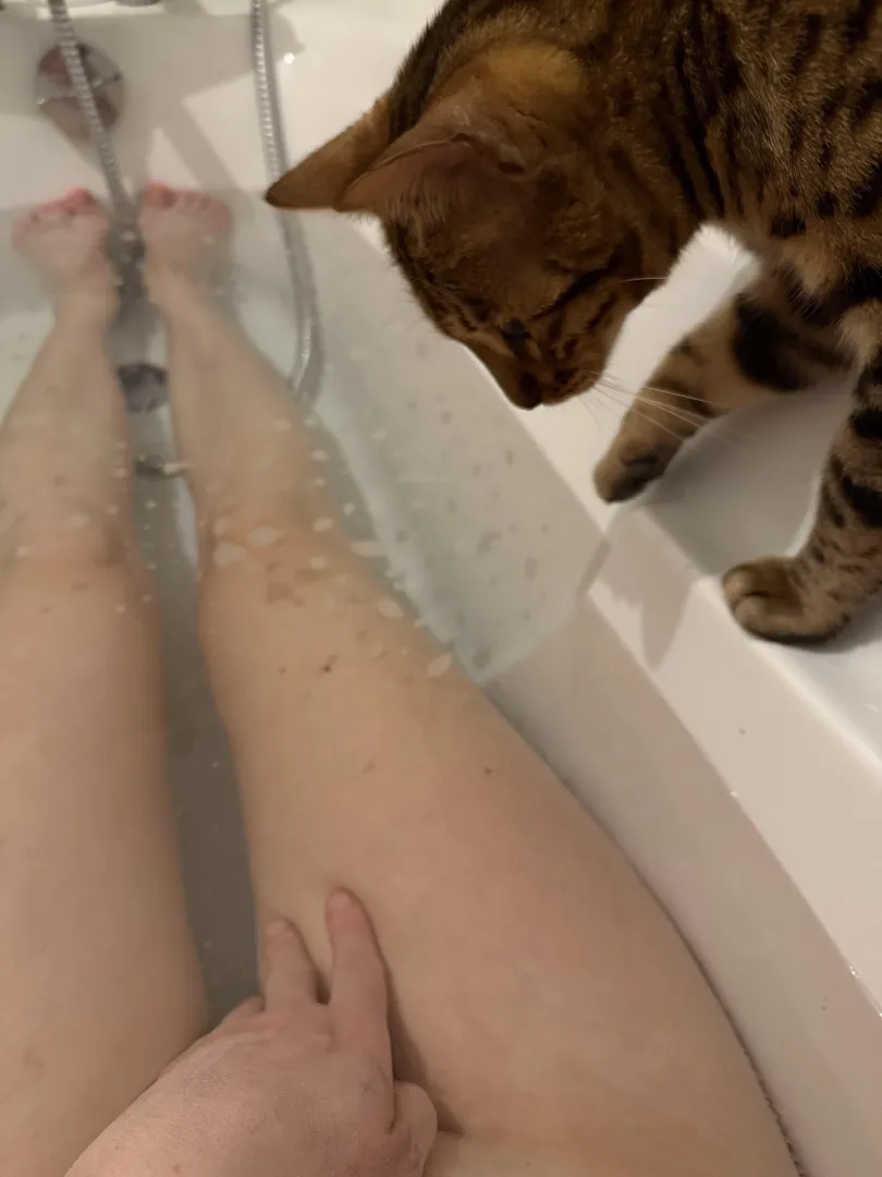 Vous le trouvez mignon ?