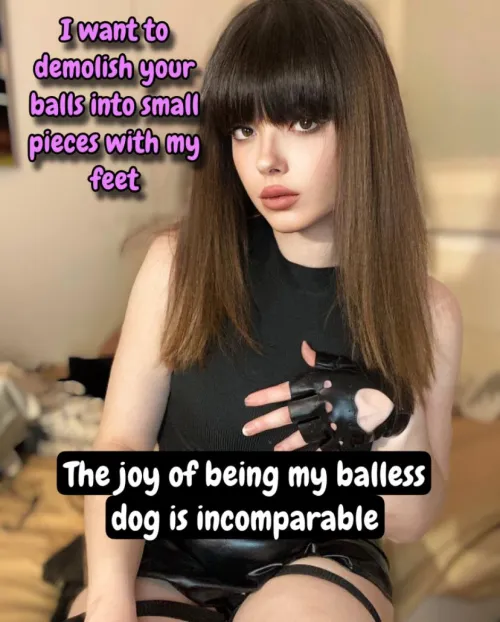 Wanna be my balless dog? [no imagefap] [oc]