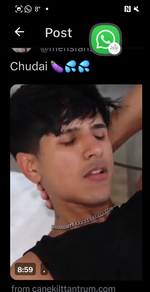 Who is this gay pornstar?