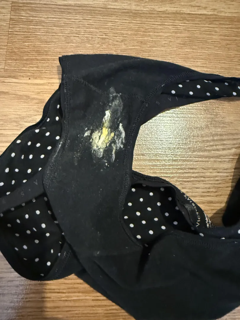 Wife dirty panties