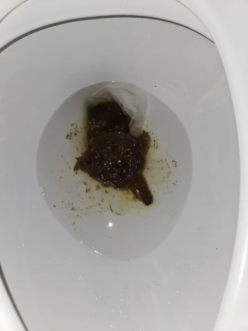 Diarrhea at work