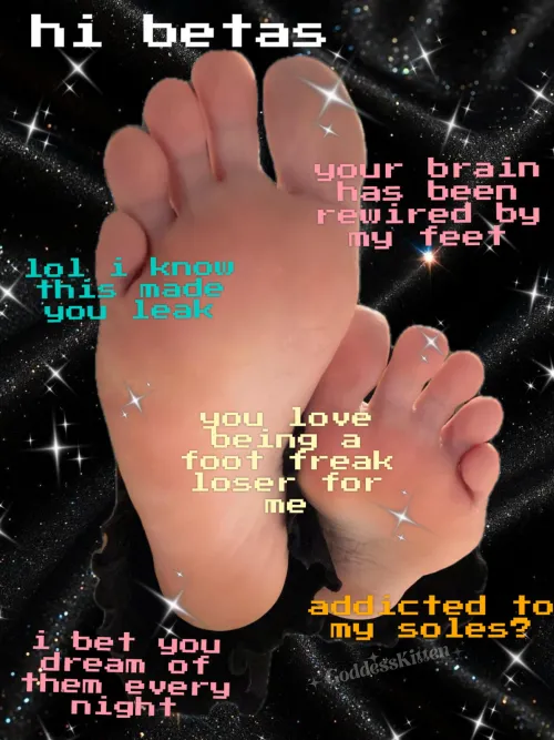 Goodnight or Good morning Gooners  Say “thank you, Kitten”.