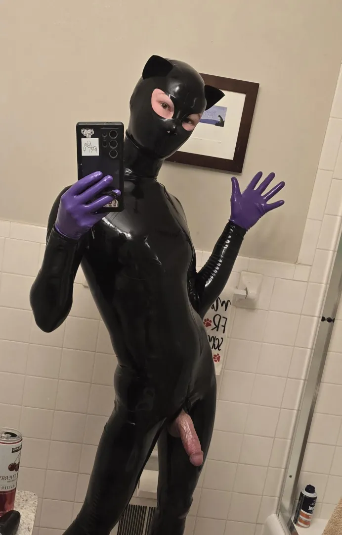 Latex cat is the ideal way to be