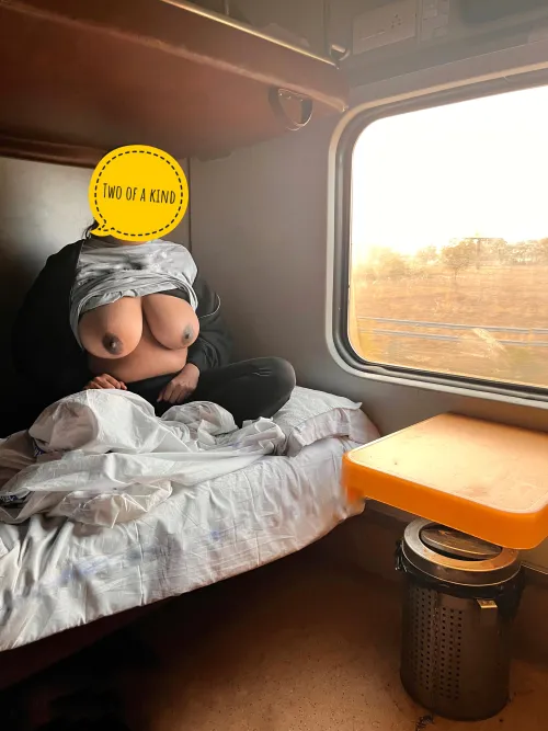 Letting these milkers get some morning sun (c)☀️