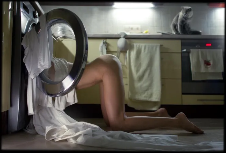 Nice view for the cat