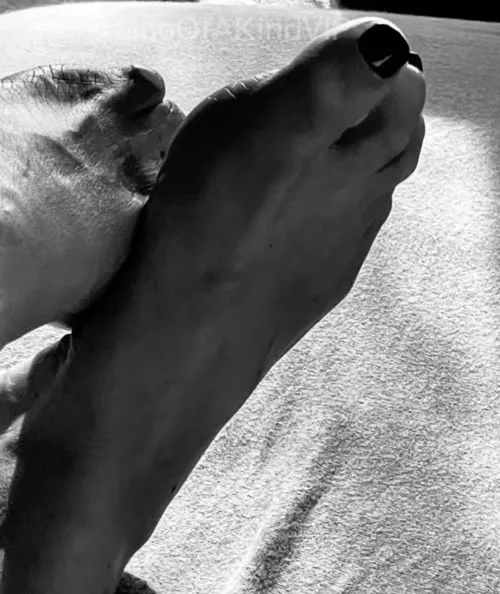 Quiet evening… just relaxing