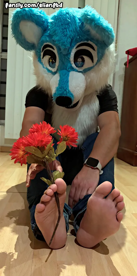 Some flowers for you !