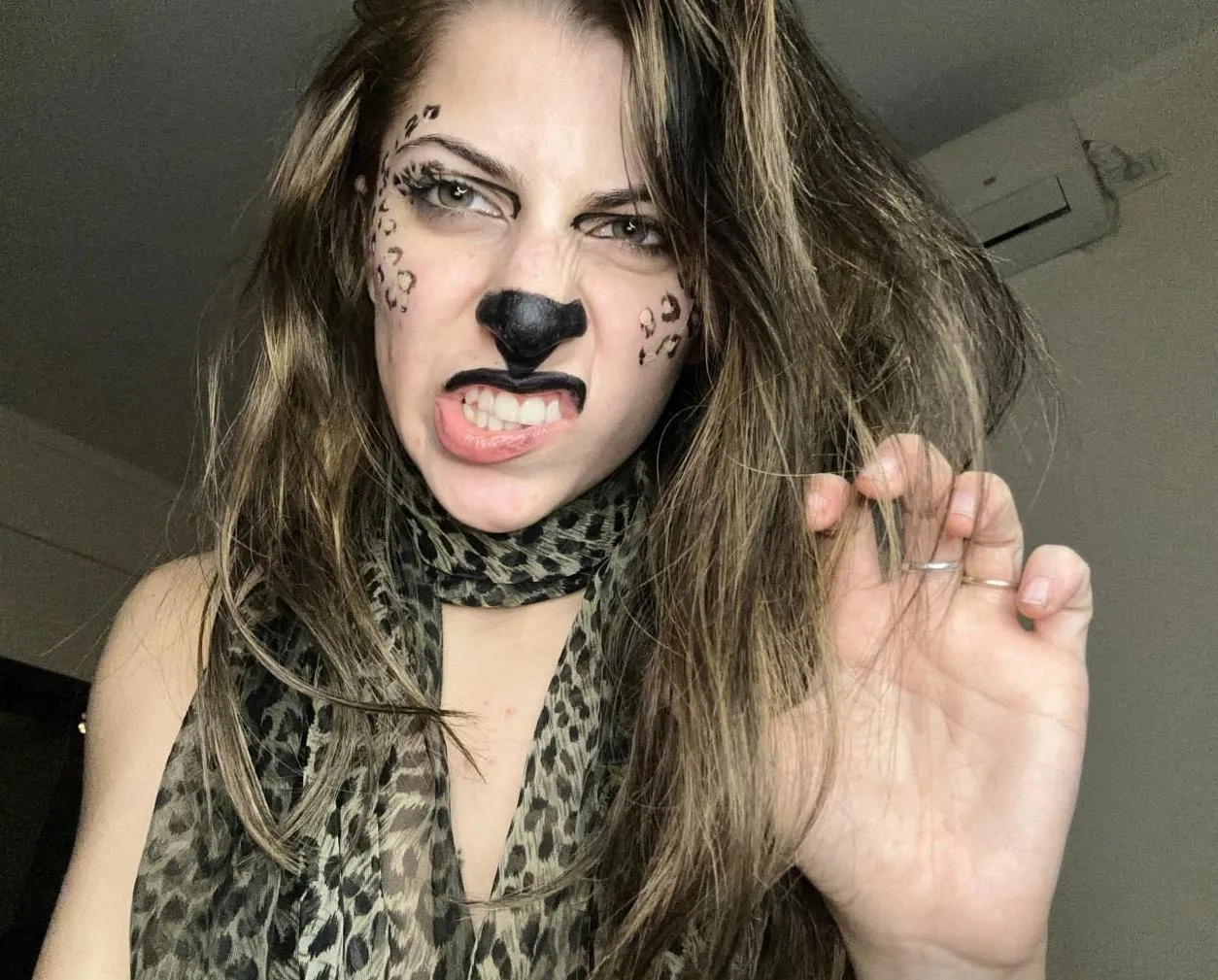 Adopt a kitty like me or nah