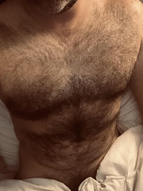 Bear in bed