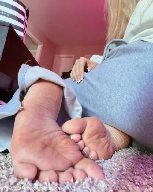 craving a send right now, go fetch loser idiot dog