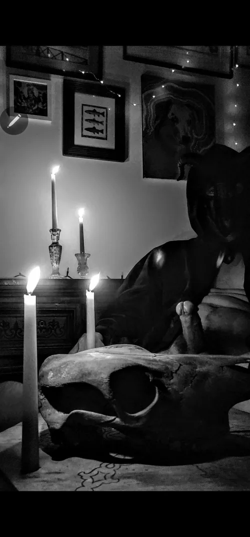 Hard bones /soft wax