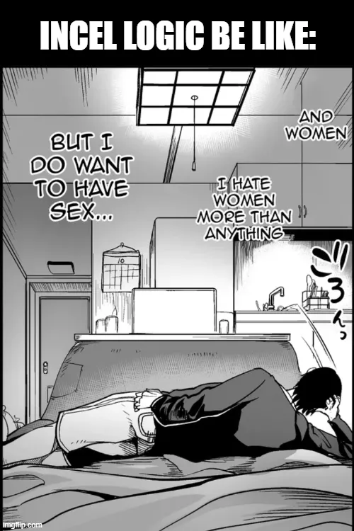 Incel: God, I wish there was a way to have sex without having to dealing with women