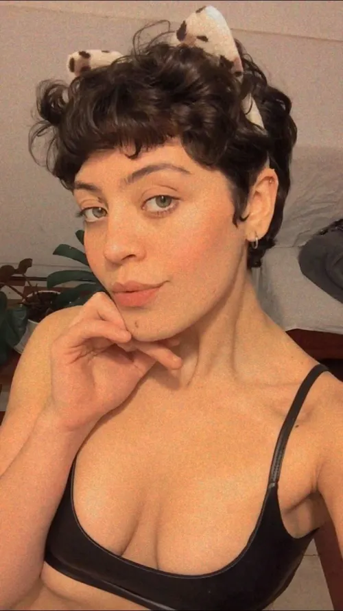 just a curious kitty