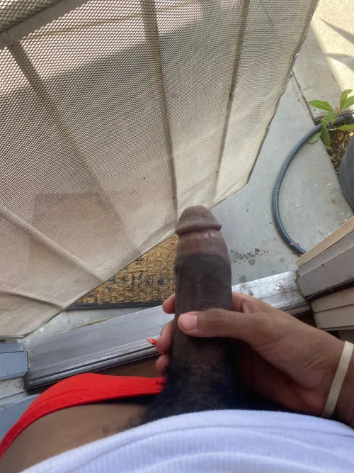Love playing with my cock with the door open
