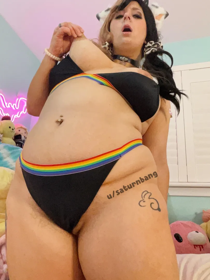 milk the cow, i'm begging you