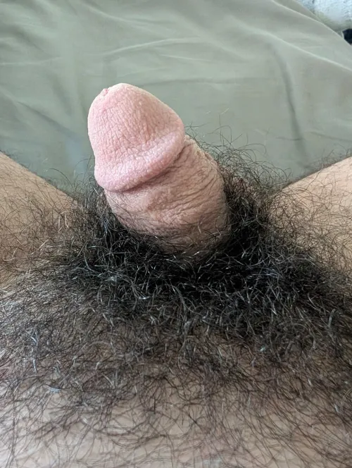 My soft penis