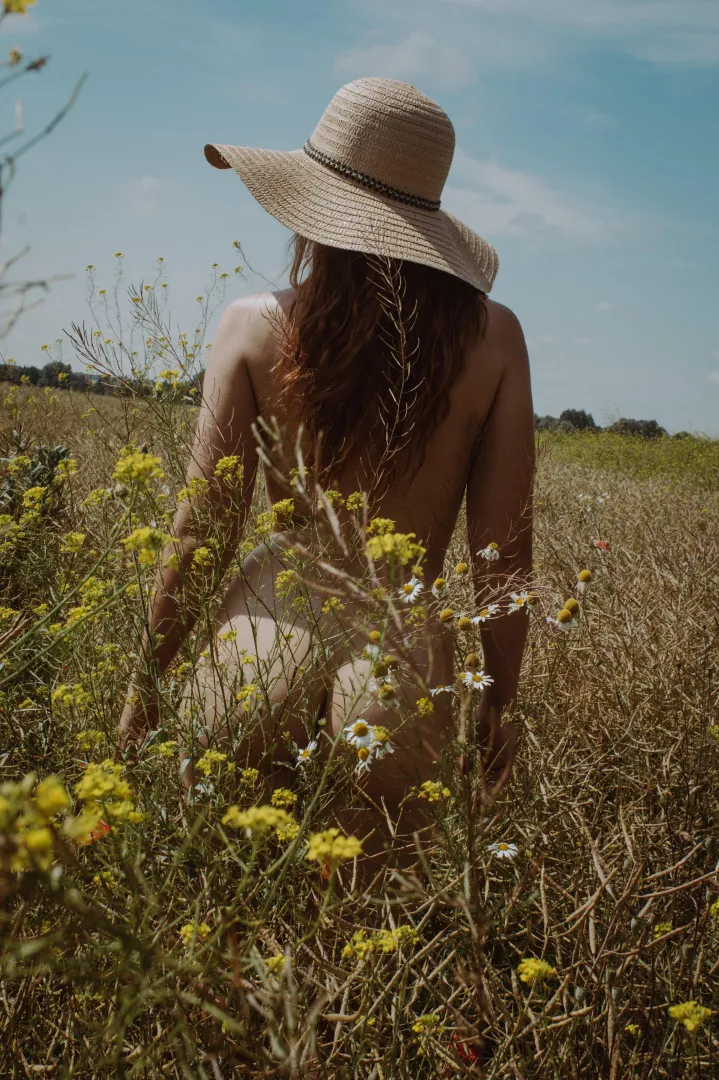 On the summer fields