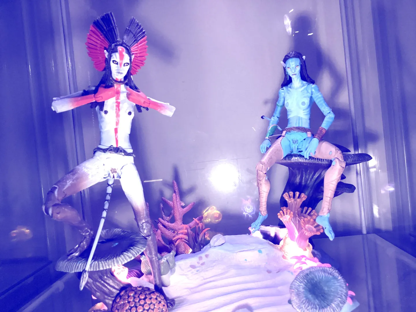 What would you do if you came across these two…