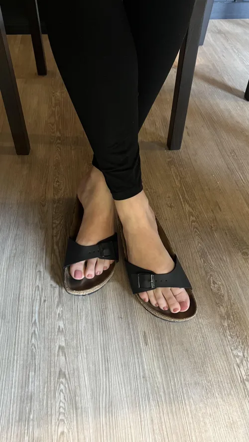 Working from home today. The Birk view under the desk.