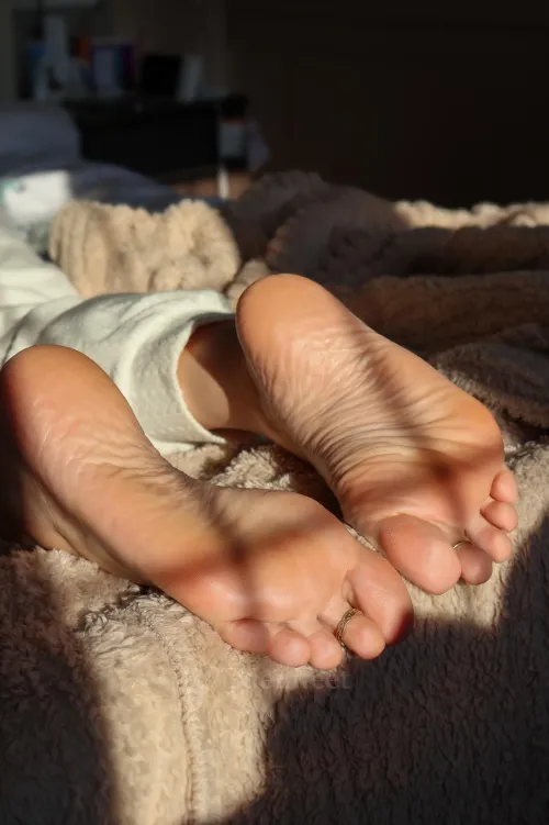 You can suck my toes while I suck alpha's hard morning cock 
