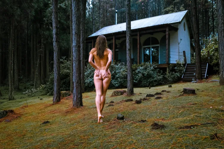 An Amazing Weekend at a Forest Cabin