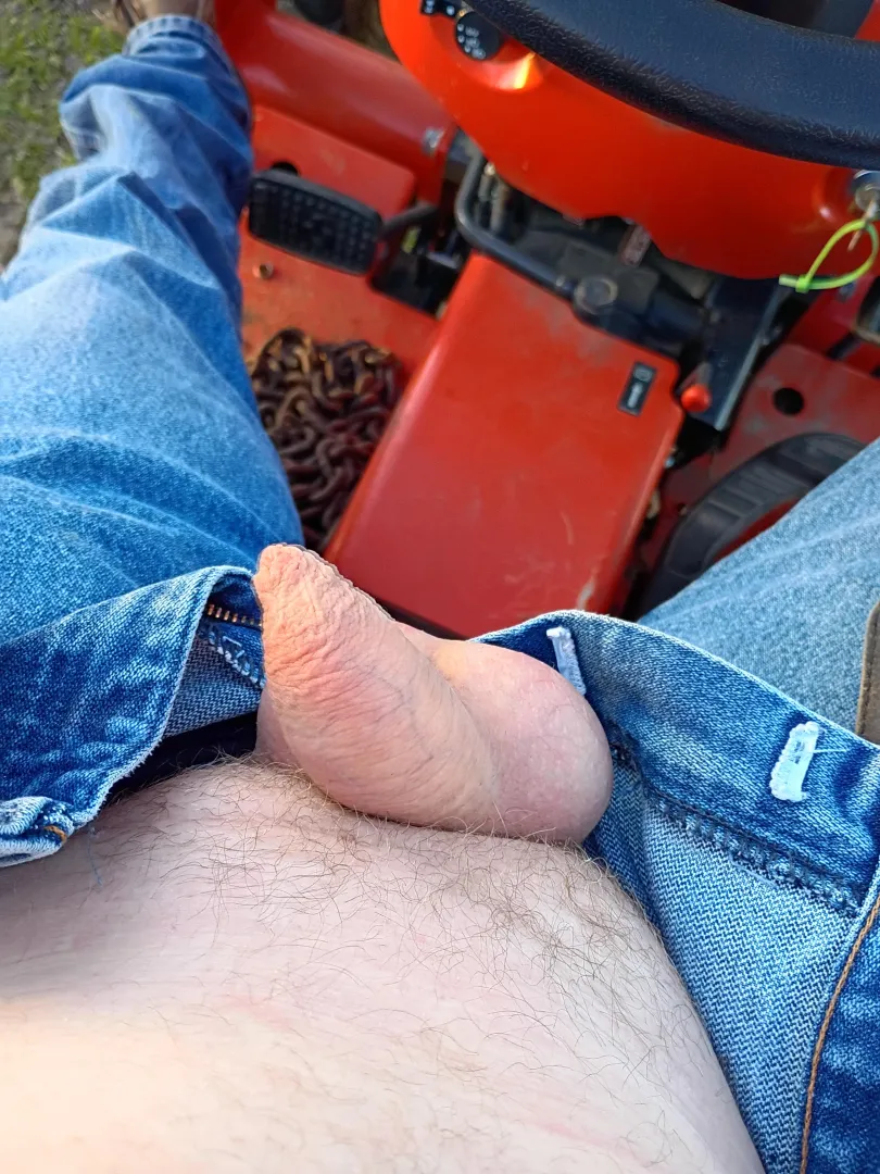 Anyone want a tractor ride?