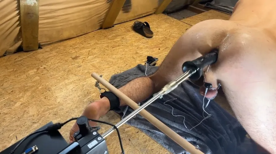 Do you enjoy watching me?