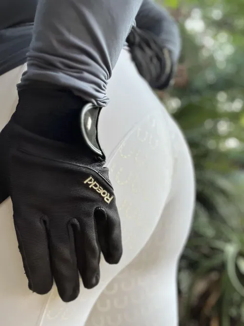 Equestrian curves are 