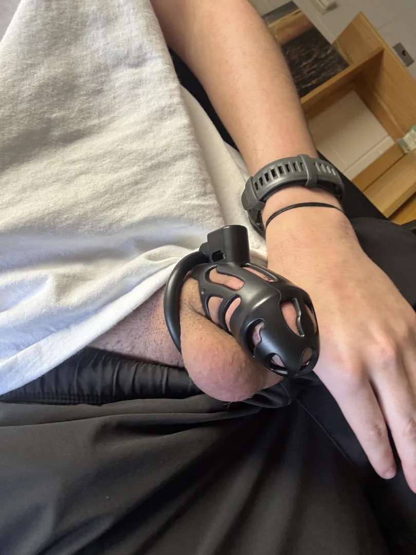 Heyy I’m back~ I need 50 votes to get my freedom so how about you help me out?