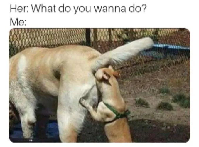 I will literally tongue-fuck her ass.