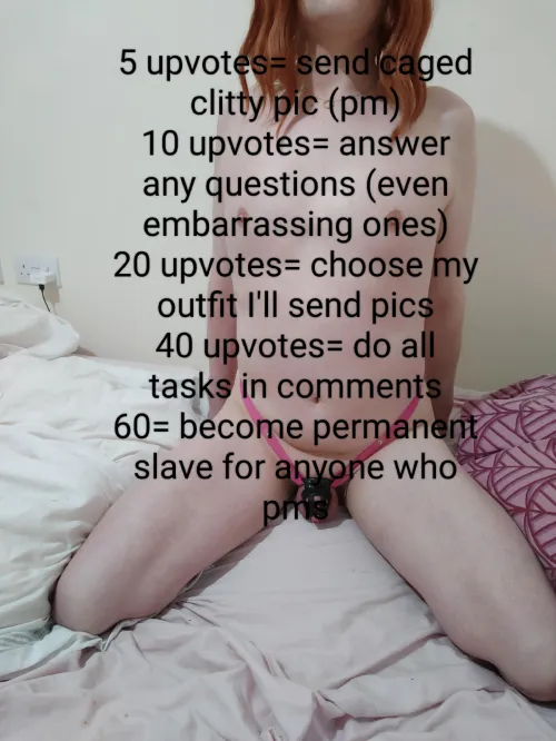 Let's see how this goes. I kinda want it to go all the way 