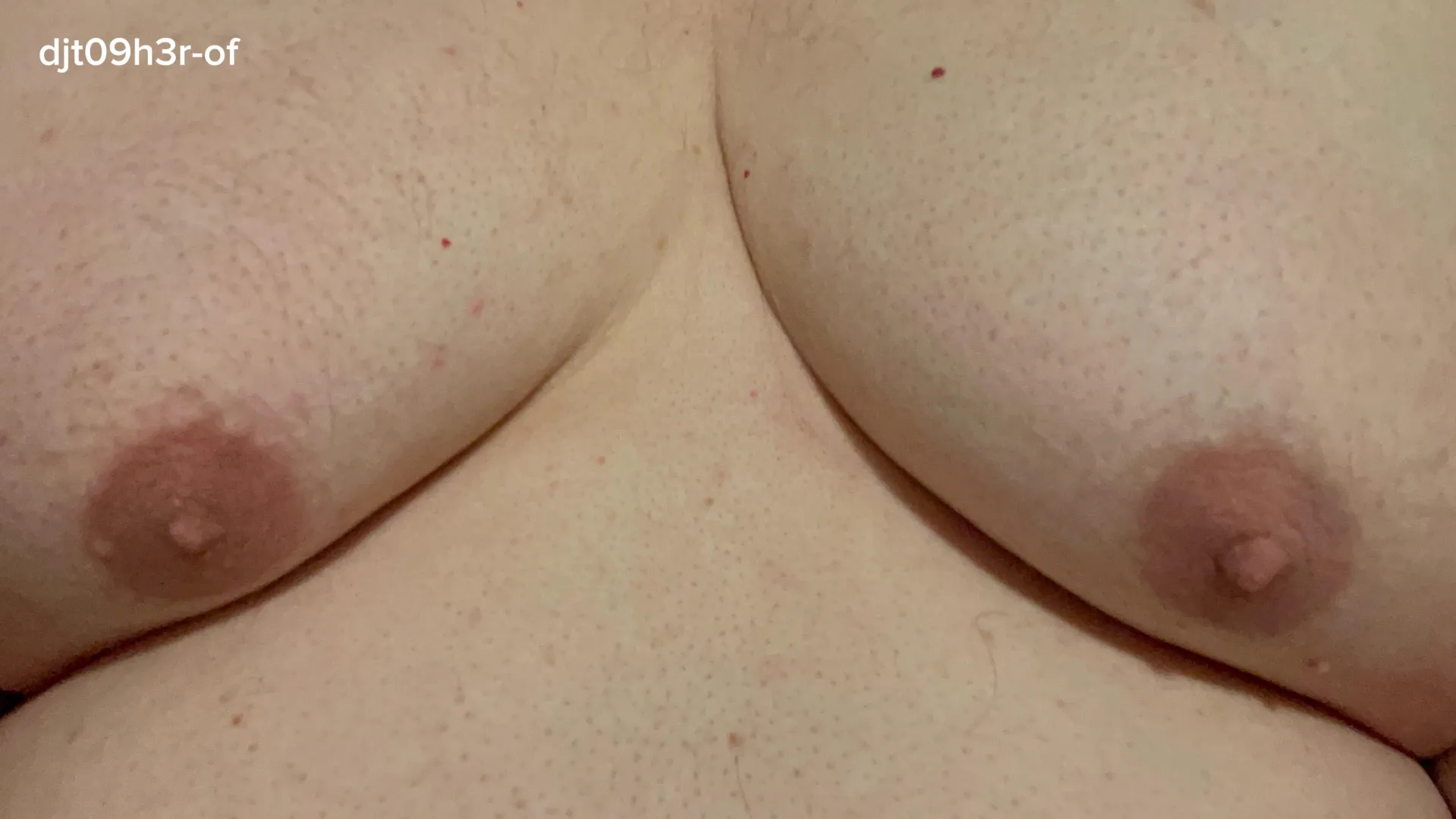 My tits, please enjoy.