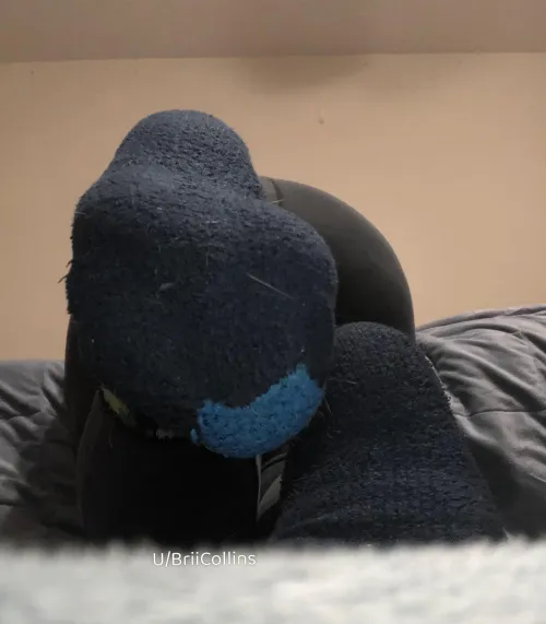 Nothing better than the scent of fuzzy socks want to find out?